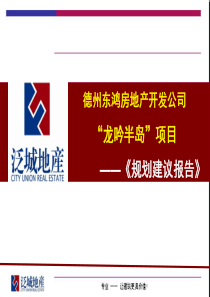 青岛龙吟半岛项目规划建议报告_86PPT
