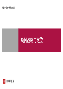 世联-情景模拟培训-项目战略与定位-41PPT