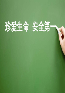 【精品】珍爱生命安全教育主题班会PPT课件
