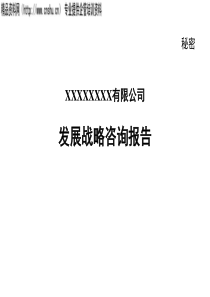 东环置业战略咨询报告（PPT256页）