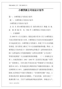 小额贷款公司创业计划书