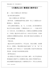 《大数的认识》整理复习教学设计