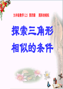 探索三角形相似的条件-图形的相似PPT优秀课件2