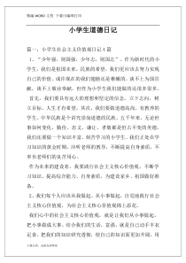 小学生道德日记