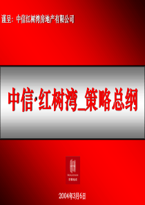 中信红树湾_策略总纲