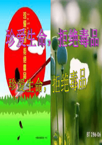 珍爱生命---拒绝毒品说课稿1