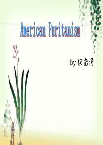 American-puritanism-美国清教