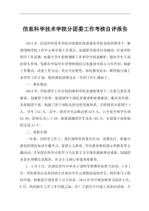 团委考核自评报告