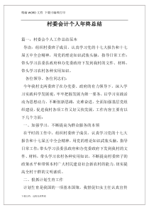 村委会计个人年终总结