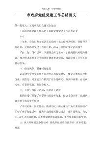 市政府党组党建工作总结范文