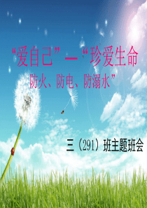 防火防电防溺水-主题班会课件