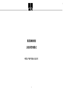 中国土蓄战略规划及组织管理（推荐PPT171）