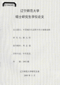 中国城市化进程中的小城镇战略