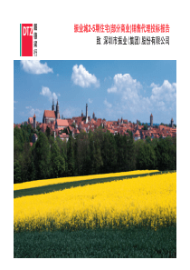 戴德梁行_深圳振业城2-5期住宅(部分商业)销售代理投标报告_143页