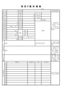 项目个案市调报表