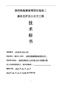 技术标书2