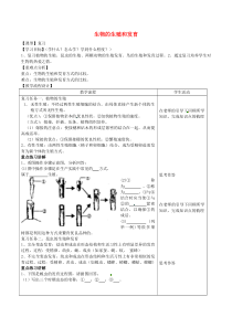山东泰安市八年级生物下册 8.1生物的生殖和发育学案（无答案） 鲁教版五四制