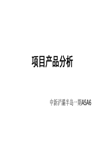 项目产品分析