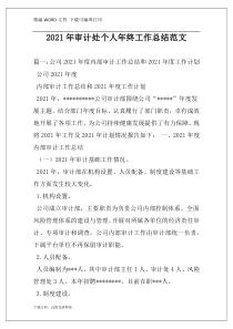 2021年审计处个人年终工作总结范文