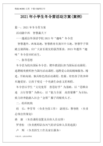 2021年小学生冬令营活动方案(案例)