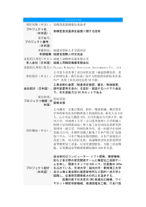 项目信息英文明细