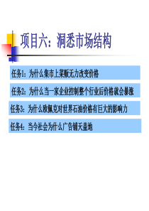 项目六 洞悉市场结构