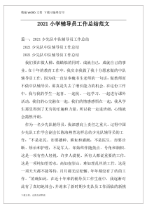 2021小学辅导员工作总结范文