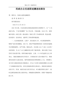 民政办主任述职述廉述法报告