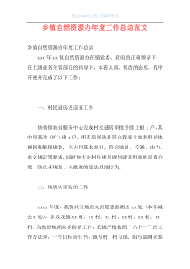 乡镇自然资源办年度工作总结范文