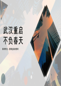 20届 高考作文 武汉重启，不负春天