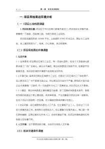 项目可行性分析(1)