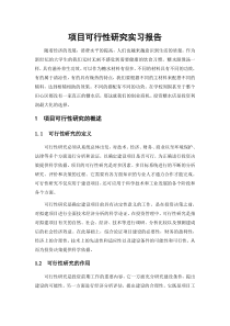 项目可行性研究