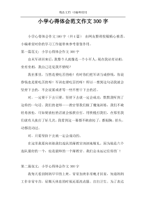 小学心得体会范文作文300字