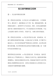 党支部考察意见范例