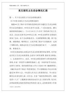 党支部民主生活会情况汇报