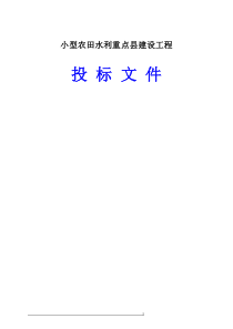 小型农田水利工程投标文件