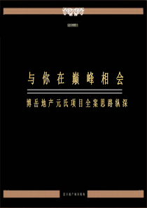 XXXX年博岳地产元氏项目全案思路纵深报告
