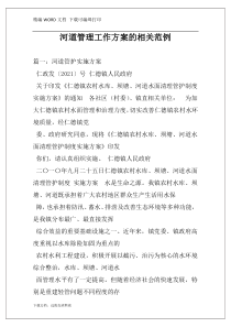 河道管理工作方案的相关范例