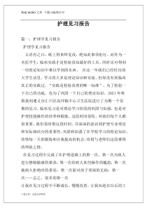 护理见习报告