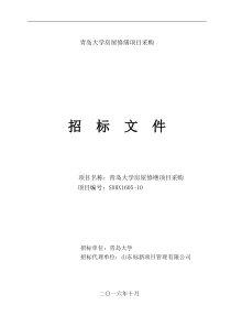 招标文件(标段五)