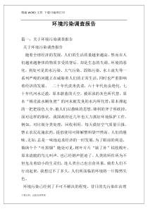 环境污染调查报告