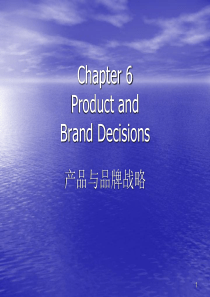 产品与品牌战略