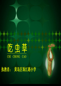《吃虫草》课件