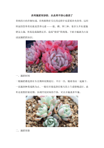 多肉施肥有妙招-从此再不担心烧苗了