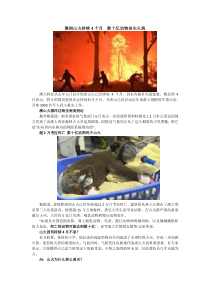 澳洲山火持续4月仍在燃烧