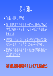 项目团队（2）(1)