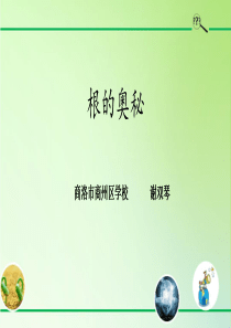 根的奥秘