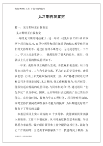 见习期自我鉴定