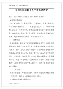 见习生试用期个人工作总结范文