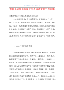 市粮食物资局年度工作总结范文和工作安排